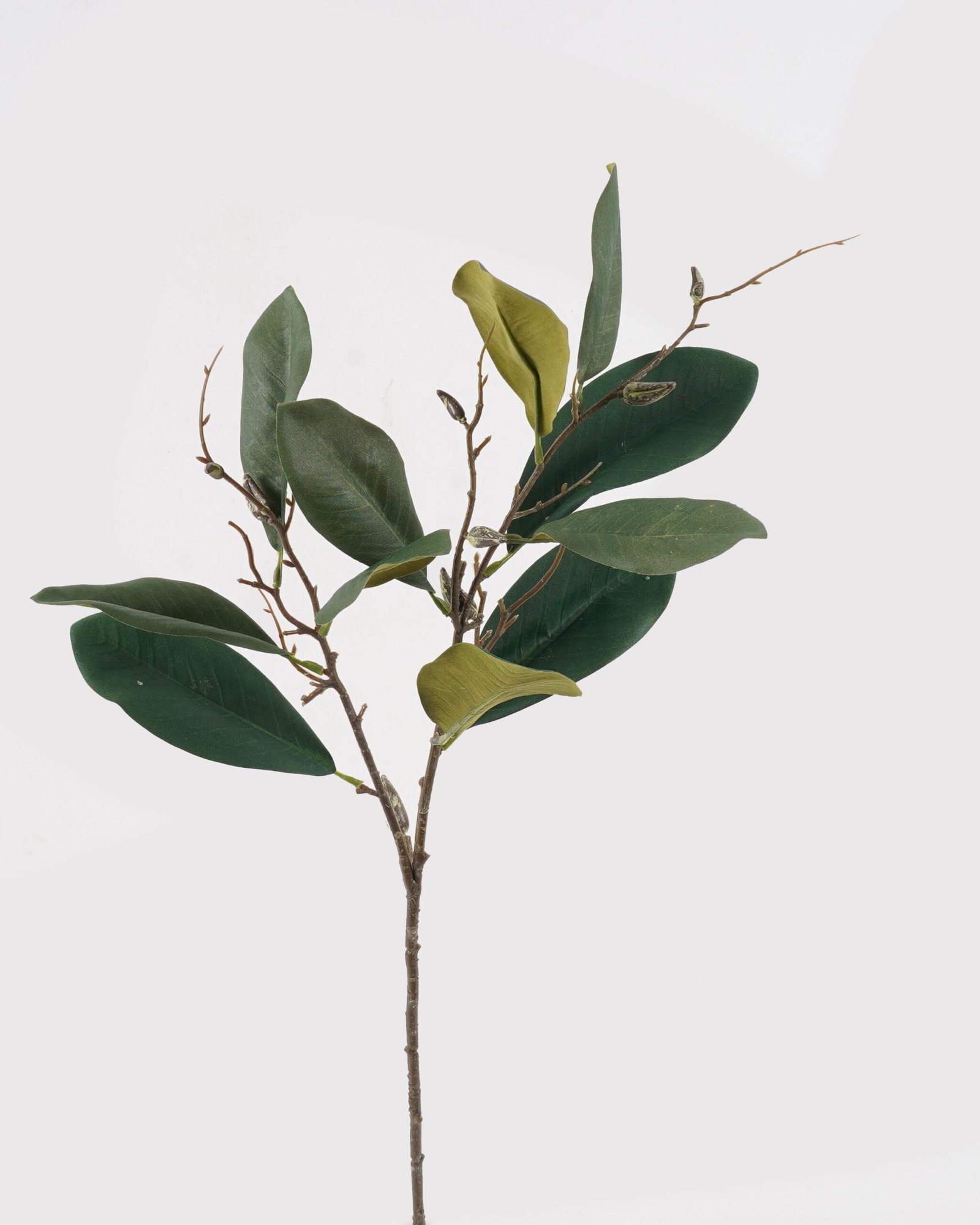 Artificial Plant 25*25*80cm Magnolia leaf single stem GS-58824044 2024Oct YeahFlower is one of Chinese leading OEM manufacturers and exporters , supplying the silk flowers, wholesale artificial trees Artificial Plant 25*25*80cm Magnolia leaf single stem GS-58824044 2024Oct YeahFlower is one of Chinese leading OEM manufacturers and exporters , supplying the silk flowers, wholesale artificial trees