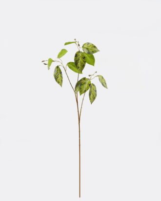 Artificial Plant 35*35*72cm Marantaceae single stem GS-70524008-G4 2024Oct YeahFlower is one of Chinese leading OEM manufacturers and exporters , supplying the silk flowers, wholesale artificial trees Artificial Plant 35*35*72cm Marantaceae single stem GS-70524008-G4 2024Oct YeahFlower is one of Chinese leading OEM manufacturers and exporters , supplying the silk flowers, wholesale artificial trees