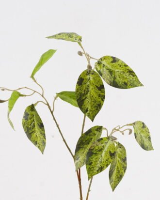 Artificial Plant 35*35*72cm Marantaceae single stem GS-70524008-G4 2024Oct YeahFlower is one of Chinese leading OEM manufacturers and exporters , supplying the silk flowers, wholesale artificial trees Artificial Plant 35*35*72cm Marantaceae single stem GS-70524008-G4 2024Oct YeahFlower is one of Chinese leading OEM manufacturers and exporters , supplying the silk flowers, wholesale artificial trees