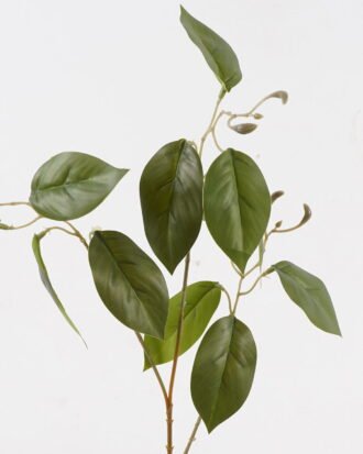 Artificial Plant 35*35*72cm Marantaceae single stem GS-70524008 2024Oct YeahFlower is one of Chinese leading OEM manufacturers and exporters , supplying the silk flowers, wholesale artificial trees Artificial Plant 35*35*72cm Marantaceae single stem GS-70524008 2024Oct YeahFlower is one of Chinese leading OEM manufacturers and exporters , supplying the silk flowers, wholesale artificial trees