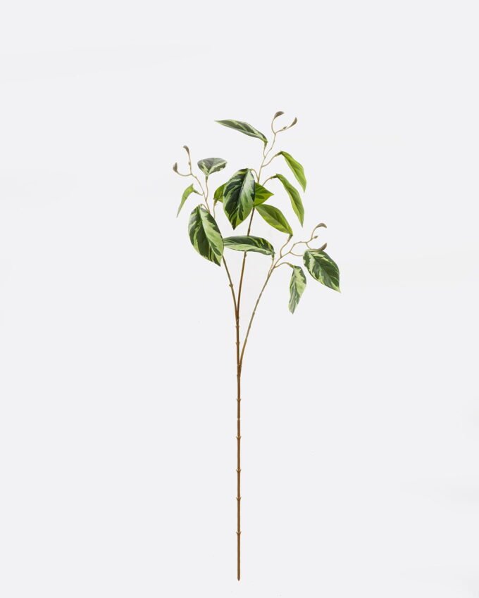 Artificial Plant 35*35*72cm Marantaceae  single stem GS-70524008 2024Oct YeahFlower is one of Chinese leading OEM manufacturers and exporters , supplying the silk flowers, wholesale artificial trees