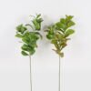 Artificial Plant 30*30*74cm Peperomia *3 single stem GS-70524005 2024Oct YeahFlower is one of Chinese leading OEM manufacturers and exporters , supplying the silk flowers, wholesale artificial trees
