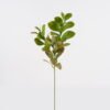 Artificial Plant 30*30*74cm Peperomia *3 single stem GS-70524005 2024Oct YeahFlower is one of Chinese leading OEM manufacturers and exporters , supplying the silk flowers, wholesale artificial trees