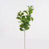 Artificial Plant 30*30*74cm Peperomia *3 single stem GS-70524005 2024Oct YeahFlower is one of Chinese leading OEM manufacturers and exporters , supplying the silk flowers, wholesale artificial trees