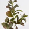 Artificial Plant 30*30*74cm Peperomia *3 single stem GS-70524006 2024Oct YeahFlower is one of Chinese leading OEM manufacturers and exporters , supplying the silk flowers, wholesale artificial trees