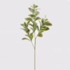 Artificial Plant 30*30*74cm Peperomia *3 single stem GS-70524006 2024Oct YeahFlower is one of Chinese leading OEM manufacturers and exporters , supplying the silk flowers, wholesale artificial trees