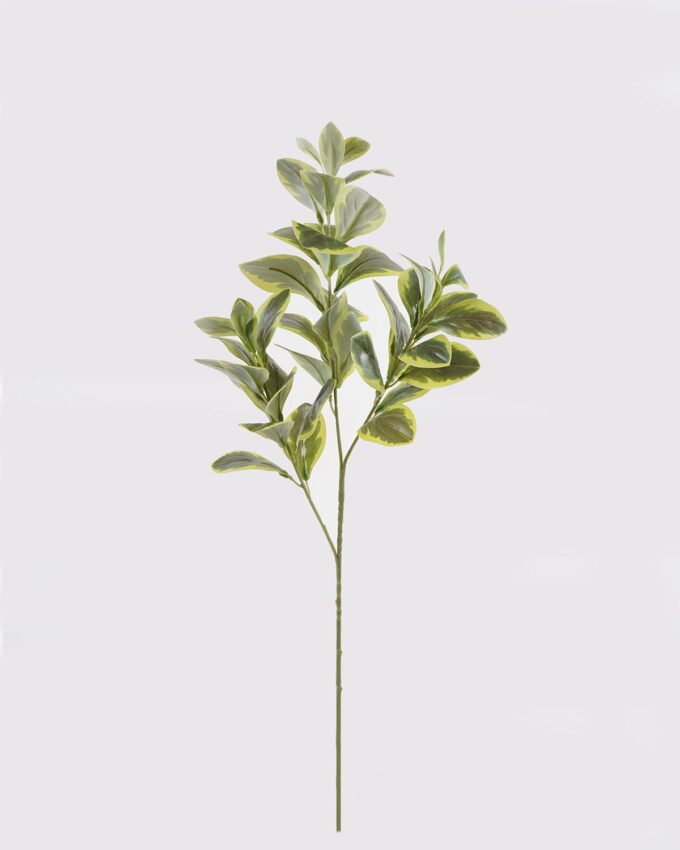 Artificial Plant 30*30*74cm Peperomia *3 single stem GS-70524006 2024Oct YeahFlower is one of Chinese leading OEM manufacturers and exporters , supplying the silk flowers, wholesale artificial trees