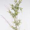 Artificial Plant Phyllostachys parvifolia single stem 270 lvs GS-30424062_3 Artificial Plant 40*40*150cm Phyllostachys parvifolia single stem/270 lvs GS-30424062 2024Oct YeahFlower is one of Chinese leading OEM manufacturers and exporters , supplying the silk flowers, wholesale artificial trees