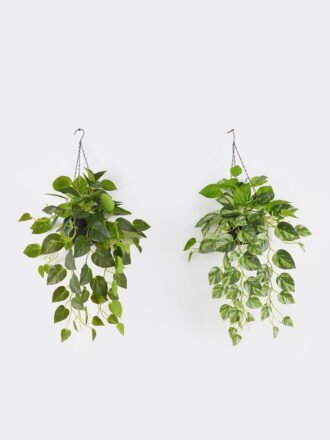 Artificial Plant 34*34*95cm Magnolia leaf *3 single stem GS-29424096 Leaves&Sprays&Foliages 3,000+ sqm showroom with thousands of artificial flowers, plants & trees ready for global sourcing.