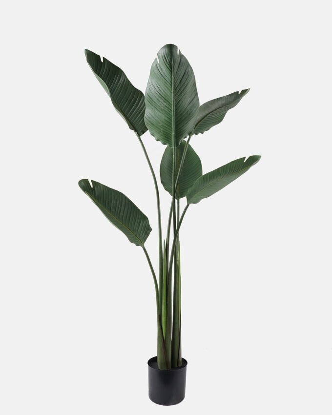 Artificial Plant 52*150cm Strelitziaceae in PP pot GS-59522122 2024Oct YeahFlower is one of Chinese leading OEM manufacturers and exporters , supplying the silk flowers, wholesale artificial trees