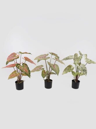 Artificial Table Plants 62*62*74cm Alocasia in PP pot/9 lvs GS-14524010 Potted Flowers&Plants 3,000+ sqm showroom with thousands of artificial flowers, plants & trees ready for global sourcing.