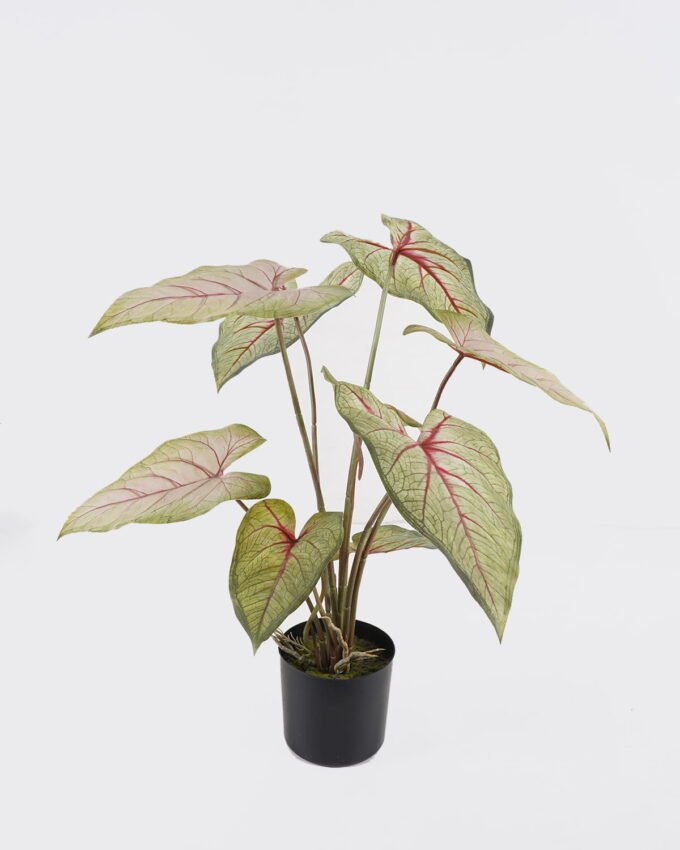 Artificial Table Plants 53*40*55cm Alocasia in PP pot/9 lvs GS-14524009 2024Oct YeahFlower is one of Chinese leading OEM manufacturers and exporters , supplying the silk flowers, wholesale artificial trees