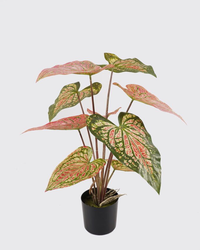 Artificial Table Plants 53*40*55cm Alocasia in PP pot/9 lvs GS-14524009 2024Oct YeahFlower is one of Chinese leading OEM manufacturers and exporters , supplying the silk flowers, wholesale artificial trees