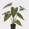 Artificial Table Plants Alocasia in PP pot 9 lvs GS-14524010-G2_1 Artificial Table Plants 62*62*74cm Alocasia in PP pot/9 lvs GS-14524010-G2 2024Oct YeahFlower is one of Chinese leading OEM manufacturers and exporters , supplying the silk flowers, wholesale artificial trees