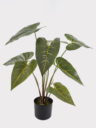 Artificial Table Plants 52*52*76cm Alocasia in PP pot/9 lvs GS-14524011 Potted Flowers&Plants 3,000+ sqm showroom with thousands of artificial flowers, plants & trees ready for global sourcing.