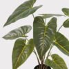 Artificial Table Plants Alocasia in PP pot 9 lvs GS-14524010-G2_11 Artificial Table Plants 62*62*74cm Alocasia in PP pot/9 lvs GS-14524010-G2 2024Oct YeahFlower is one of Chinese leading OEM manufacturers and exporters , supplying the silk flowers, wholesale artificial trees