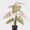 Artificial Table Plants 62*62*74cm Alocasia in PP pot/9 lvs GS-14524010 2024Oct YeahFlower is one of Chinese leading OEM manufacturers and exporters , supplying the silk flowers, wholesale artificial trees