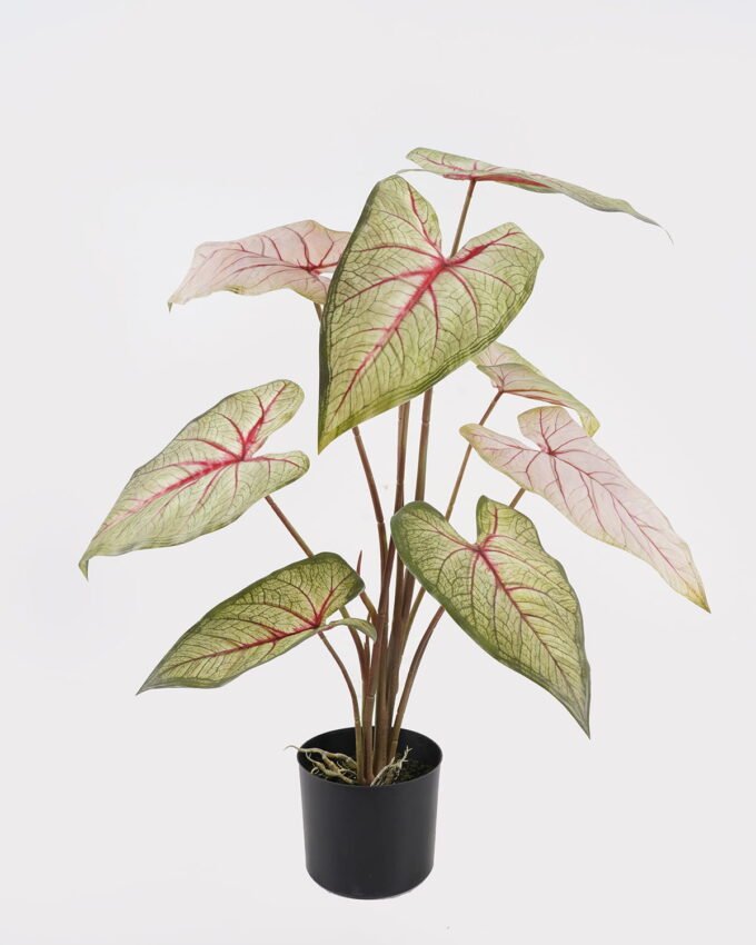 Artificial Table Plants 62*62*74cm Alocasia in PP pot/9 lvs GS-14524010 2024Oct YeahFlower is one of Chinese leading OEM manufacturers and exporters , supplying the silk flowers, wholesale artificial trees