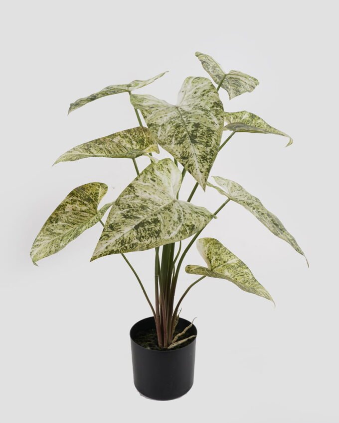 Artificial Table Plants 62*62*74cm Alocasia in PP pot/9 lvs GS-14524010 2024Oct YeahFlower is one of Chinese leading OEM manufacturers and exporters , supplying the silk flowers, wholesale artificial trees
