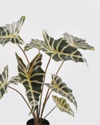 Artificial Table Plants 52*52*76cm Alocasia in PP pot/9 lvs GS-14524011 2024Oct YeahFlower is one of Chinese leading OEM manufacturers and exporters , supplying the silk flowers, wholesale artificial trees