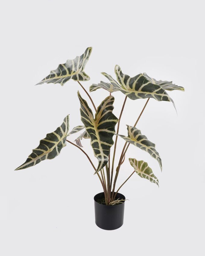 Artificial Table Plants Alocasia in PP pot 9 lvs GS-14524011_5 Artificial Table Plants 52*52*76cm Alocasia in PP pot/9 lvs GS-14524011 2024Oct YeahFlower is one of Chinese leading OEM manufacturers and exporters , supplying the silk flowers, wholesale artificial trees