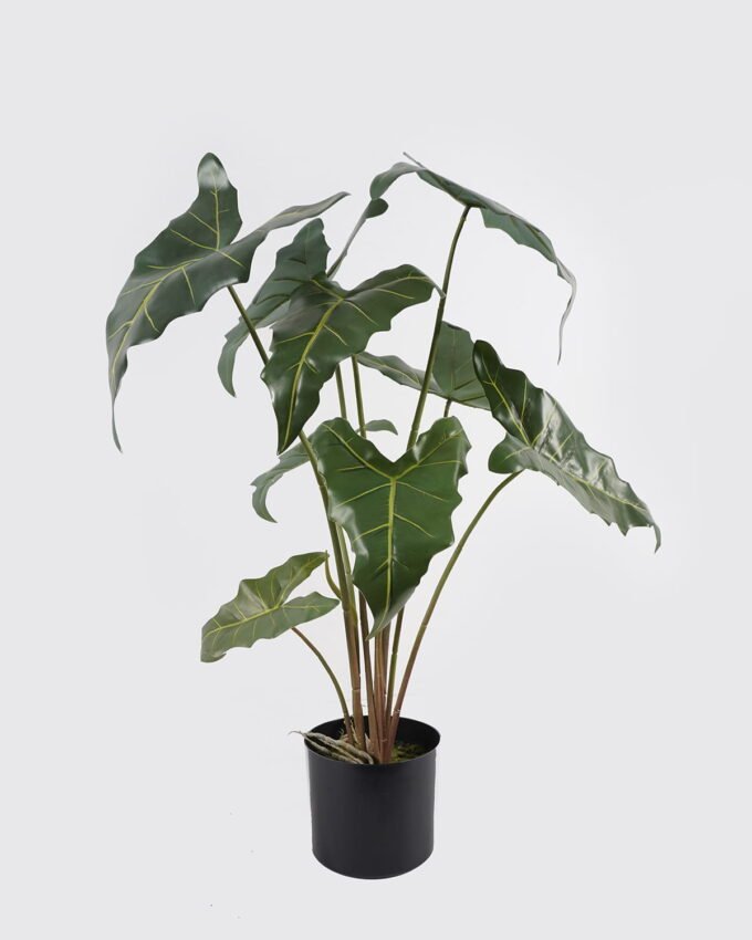 Artificial Table Plants Alocasia in PP pot 9 lvs GS-14524011_6 Artificial Table Plants 52*52*76cm Alocasia in PP pot/9 lvs GS-14524011 2024Oct YeahFlower is one of Chinese leading OEM manufacturers and exporters , supplying the silk flowers, wholesale artificial trees