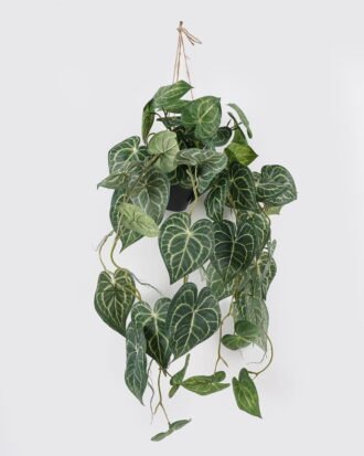 Artificial Table Plants 56*56*105cm Anthurium crystallinum *2 in PP pot GS-14524018 2024Oct YeahFlower is one of Chinese leading OEM manufacturers and exporters , supplying the silk flowers, wholesale artificial trees