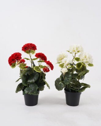 Artificial Table Plants 27*27*39cm Begonia in PP pot GS-03324037 2024Oct YeahFlower is one of Chinese leading OEM manufacturers and exporters , supplying the silk flowers, wholesale artificial trees Artificial Table Plants 27*27*39cm Begonia in PP pot GS-03324037 2024Oct YeahFlower is one of Chinese leading OEM manufacturers and exporters , supplying the silk flowers, wholesale artificial trees