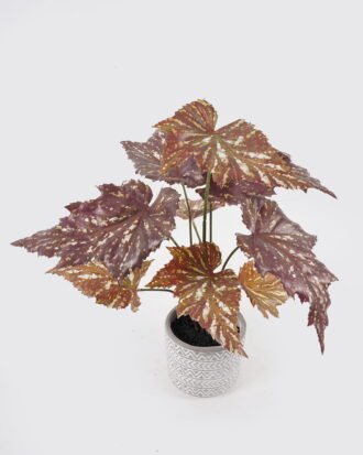 Artificial Table Plants 30*30*74cm Begonia single stem GS-14524024 2024Oct YeahFlower is one of Chinese leading OEM manufacturers and exporters , supplying the silk flowers, wholesale artificial trees