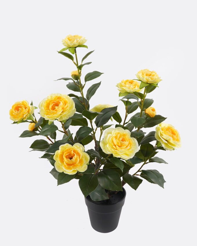 Artificial Table Plants 47*29*60cm Camellia bush *12 in PP pot/87 Lvs GS-59524037 2024Oct YeahFlower is one of Chinese leading OEM manufacturers and exporters , supplying the silk flowers, wholesale artificial trees