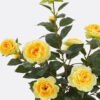 Artificial Table Plants 47*29*60cm Camellia bush *12 in PP pot/87 Lvs GS-59524037 2024Oct YeahFlower is one of Chinese leading OEM manufacturers and exporters , supplying the silk flowers, wholesale artificial trees