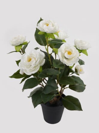 Artificial Table Plants 47*29*60cm Camellia bush *12 in PP pot/87 Lvs GS-59524037 Potted Flowers&Plants 3,000+ sqm showroom with thousands of artificial flowers, plants & trees ready for global sourcing.