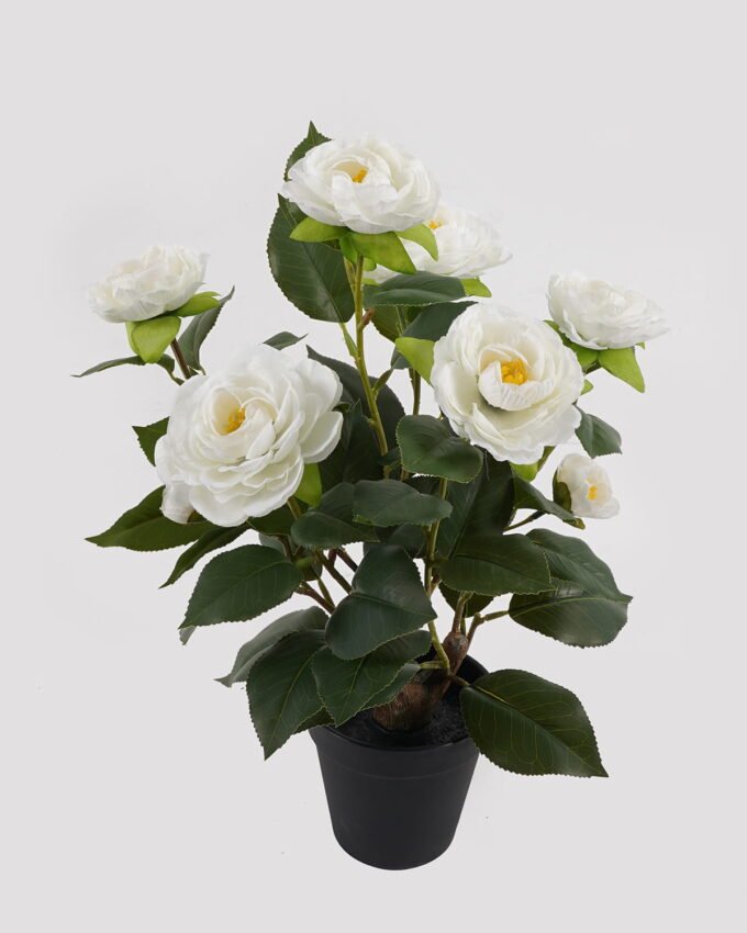Artificial Table Plants 30*24*43cm Camellia bush *8 in PP pot/48 Lvs GS-59524036 2024Oct YeahFlower is one of Chinese leading OEM manufacturers and exporters , supplying the silk flowers, wholesale artificial trees