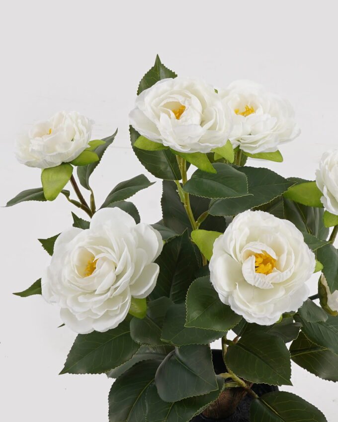 Artificial Table Plants 30*24*43cm Camellia bush *8 in PP pot/48 Lvs GS-59524036 2024Oct YeahFlower is one of Chinese leading OEM manufacturers and exporters , supplying the silk flowers, wholesale artificial trees