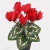 Artificial Table Plants 17*17*26cm Cyclamen persicum in PP pot GS-73324046 Potted Flowers&Plants 3,000+ sqm showroom with thousands of artificial flowers, plants & trees ready for global sourcing.