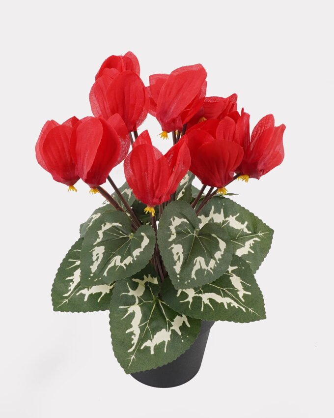 Artificial Table Plants 17*17*26cm Cyclamen persicum in PP pot GS-73324046 Potted Flowers&Plants 3,000+ sqm showroom with thousands of artificial flowers, plants & trees ready for global sourcing.