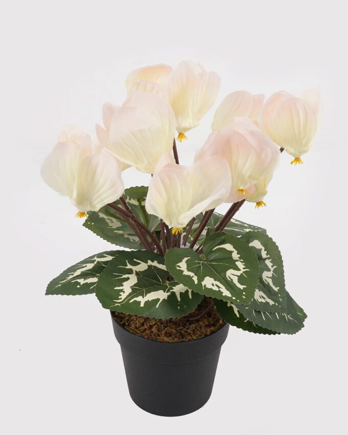 Artificial Table Plants 17*17*26cm Cyclamen persicum in PP pot GS-73324046 Potted Flowers&Plants 3,000+ sqm showroom with thousands of artificial flowers, plants & trees ready for global sourcing.