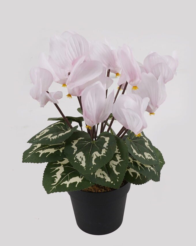 Artificial Table Plants 17*17*26cm Cyclamen persicum in PP pot GS-73324046 Potted Flowers&Plants 3,000+ sqm showroom with thousands of artificial flowers, plants & trees ready for global sourcing.