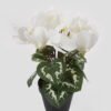 Artificial Table Plants 17*17*26cm Cyclamen persicum in PP pot GS-73324046 Potted Flowers&Plants 3,000+ sqm showroom with thousands of artificial flowers, plants & trees ready for global sourcing.