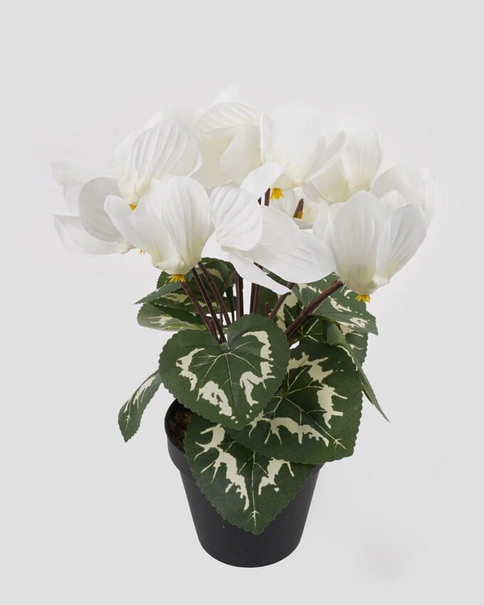 Artificial Table Plants 17*17*26cm Cyclamen persicum in PP pot GS-73324046 Potted Flowers&Plants 3,000+ sqm showroom with thousands of artificial flowers, plants & trees ready for global sourcing.