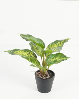 Artificial Table Plants 25*25*25cm Leaf in PP pot/10 lvs GS-70223011-G5 2024Oct YeahFlower is one of Chinese leading OEM manufacturers and exporters , supplying the silk flowers, wholesale artificial trees Artificial Table Plants 25*25*25cm Leaf in PP pot/10 lvs GS-70223011-G5 2024Oct YeahFlower is one of Chinese leading OEM manufacturers and exporters , supplying the silk flowers, wholesale artificial trees