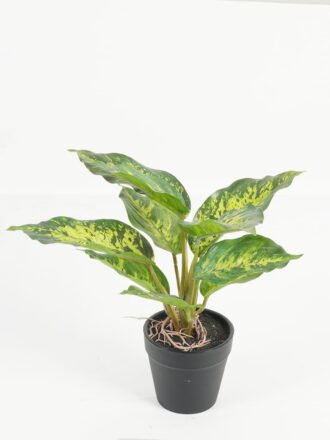 Artificial Table Plants 50*50*65cm Tree in PP Pot/25 lvs GS-71024030 Potted Flowers&Plants 3,000+ sqm showroom with thousands of artificial flowers, plants & trees ready for global sourcing.