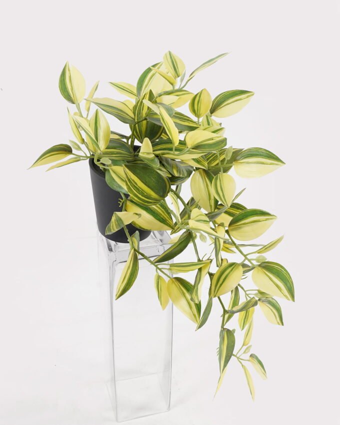 Artificial Table Plants 46*46*26cm Leaf  in PP pot GS-14524020 2024Oct YeahFlower is one of Chinese leading OEM manufacturers and exporters , supplying the silk flowers, wholesale artificial trees