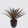Artificial Table Plants 50X50X45cm Maguey in PP pot/28 LVS GS-59524051 2024Oct YeahFlower is one of Chinese leading OEM manufacturers and exporters , supplying the silk flowers, wholesale artificial trees