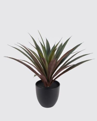 Artificial Table Plants 50X50X45cm Maguey in PP pot/28 LVS GS-59524051 2024Oct YeahFlower is one of Chinese leading OEM manufacturers and exporters , supplying the silk flowers, wholesale artificial trees Artificial Table Plants 50X50X45cm Maguey in PP pot/28 LVS GS-59524051 2024Oct YeahFlower is one of Chinese leading OEM manufacturers and exporters , supplying the silk flowers, wholesale artificial trees