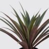 Artificial Table Plants 50X50X45cm Maguey in PP pot/28 LVS GS-59524051 2024Oct YeahFlower is one of Chinese leading OEM manufacturers and exporters , supplying the silk flowers, wholesale artificial trees