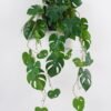 Artificial Table Plants 52*52*105cm Monstera *2  in PP pot GS-14524014 2024Oct YeahFlower is one of Chinese leading OEM manufacturers and exporters , supplying the silk flowers, wholesale artificial trees
