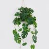 Artificial Table Plants 52*52*105cm Monstera *2  in PP pot GS-14524014 2024Oct YeahFlower is one of Chinese leading OEM manufacturers and exporters , supplying the silk flowers, wholesale artificial trees