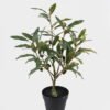 Artificial Table Plants Olive tree in PP pot GS-29824059_1 Artificial Table Plants 30*30*50cm Olive tree in PP pot GS-29824059 2024Oct YeahFlower is one of Chinese leading OEM manufacturers and exporters , supplying the silk flowers, wholesale artificial trees