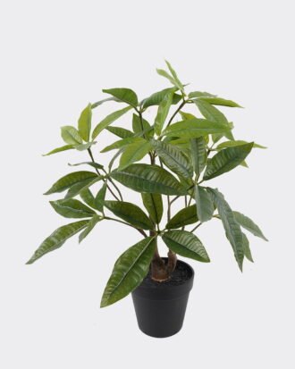 Artificial Table Plants 43*39*45cm Pachira macrocarpa in PP pot/60 Lvs GS-59524035 2024Oct YeahFlower is one of Chinese leading OEM manufacturers and exporters , supplying the silk flowers, wholesale artificial trees